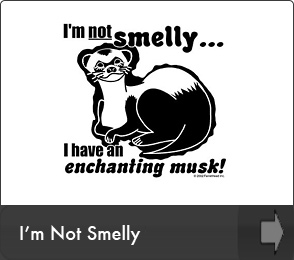 FerretHead Enchanted Musk Design